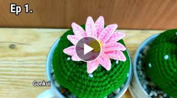 Crochet flower |Crochet Cactus Lophophora ,Beginners can knit❤️Ep1.flower #crochetflower #beg...