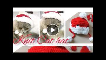 . Kedi Beresi. Knit cat hat