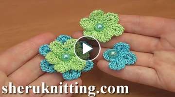 Learn How to Crochet Irish Flower