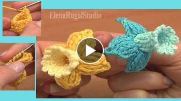 Fuchsia Flower Free Crochet Pattern