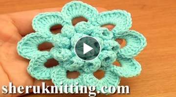 Beautiful Crochet Flower Patterns /Free Crochet Flower Tutorials